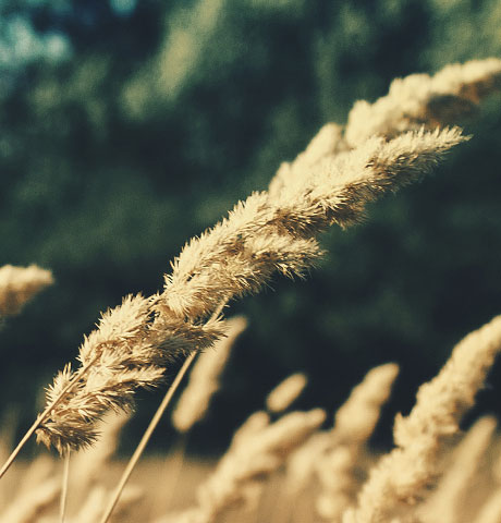 ip攻击器网页版